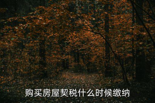 什么時候交契稅，什么時間繳納契稅