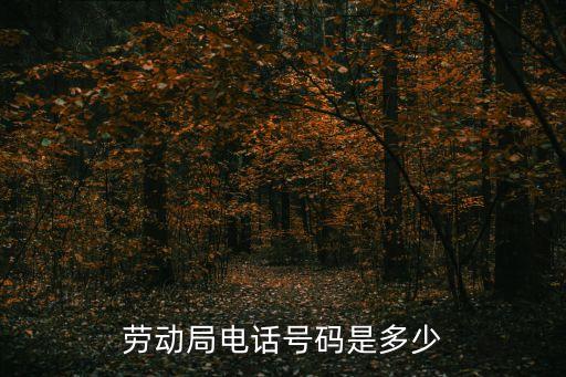 勞動(dòng)局24小時(shí)電話，勞動(dòng)局的電話是多少