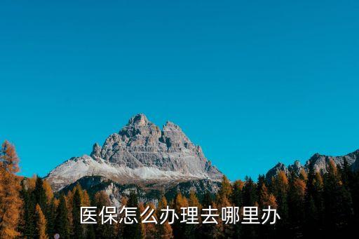 醫(yī)保怎么辦理去哪里辦