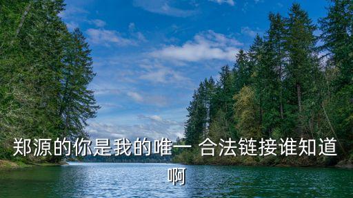 鄭源的你是我的唯一 合法鏈接誰知道啊