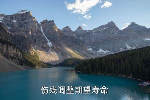 傷殘調(diào)整壽命年，my daly是什么意思