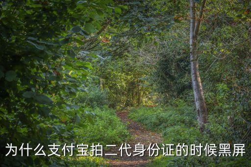 為什么支付寶拍二代身份證的時候黑屏