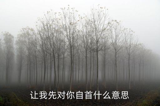 讓我先對(duì)你自首什么意思