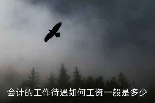 會計的工作待遇如何工資一般是多少