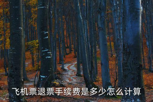 飛機票退票手續(xù)費是多少怎么計算