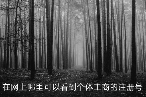 在網(wǎng)上哪里可以看到個(gè)體工商的注冊(cè)號(hào)