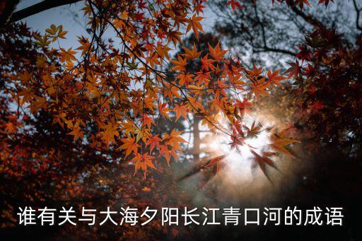 誰有關(guān)與大海夕陽長(zhǎng)江青口河的成語