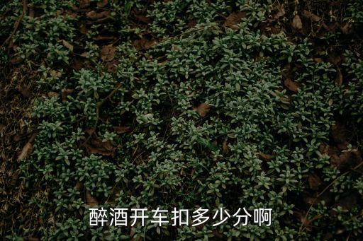 醉駕扣幾分，飲酒后駕駛機動車的扣幾分
