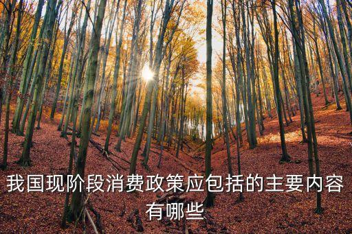 消費政策，我國現(xiàn)階段消費政策應包括的主要內容有哪些