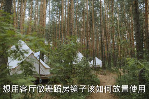 在舞蹈房做，兒童舞蹈把桿直徑一般多少和成人有區(qū)別嗎我小孩上次在舞蹈房做