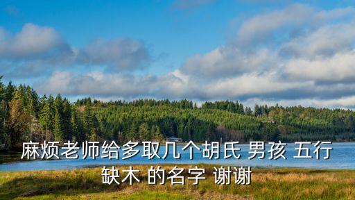 胡國林，老五水水三阿子毛股小志龍民文文胡國林楊利華