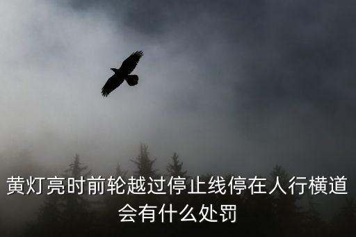 停止道，怎樣解釋機(jī)場(chǎng)的停止道和凈空道