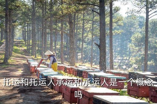 承運(yùn)，什么是托運(yùn)人什么是承運(yùn)人請舉例詳細(xì)說明