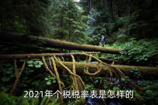 2021年個(gè)稅稅率表是怎樣的