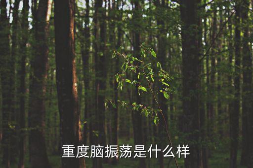 重度腦振蕩是什么樣