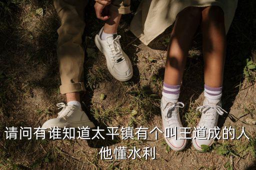 王道成，請問有誰知道太平鎮(zhèn)有個叫王道成的人他懂水利