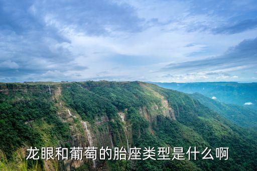 胎座，蘋果屬于什么胎座