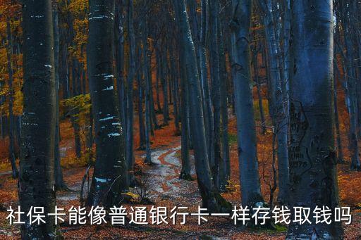 社?？芟衿胀ㄣy行卡一樣存錢取錢嗎