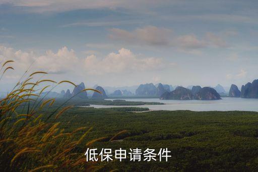 低保申請條件，什么條件能申請低保