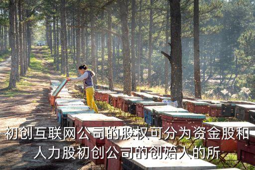 初創(chuàng)互聯(lián)網(wǎng)公司的股權(quán)可分為資金股和人力股初創(chuàng)公司的創(chuàng)始人的所