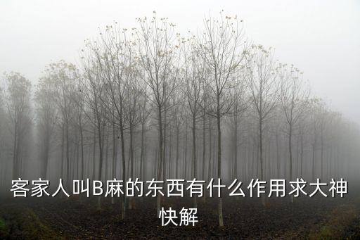 客家人叫B麻的東西有什么作用求大神快解