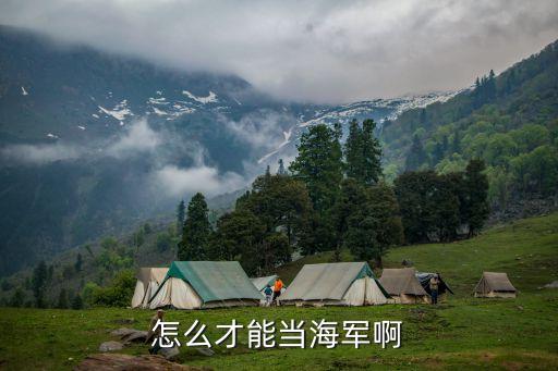 成海軍，怎么才能當(dāng)海軍啊