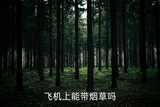 飛機(jī)上能帶煙草嗎