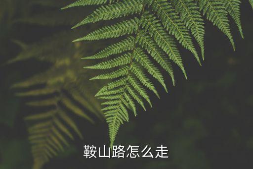 鞍山路，鞍山路在什么地方