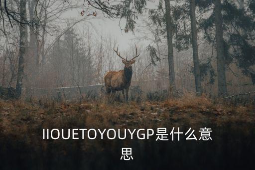 楊廣平，IIOUETOYOUYGP是什么意思