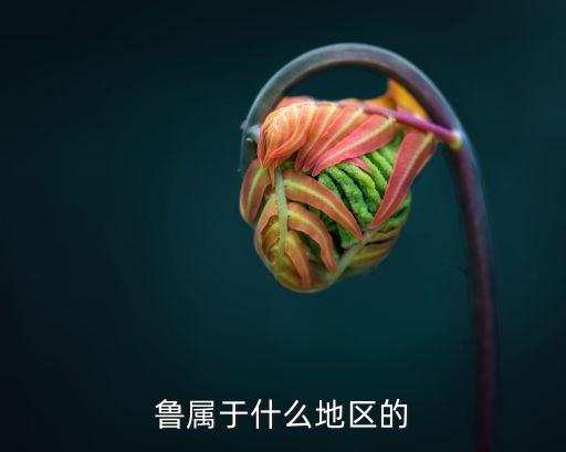 魯屬于什么地區(qū)的