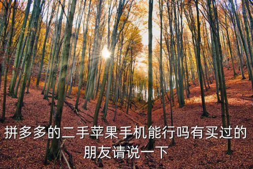 拼多多的二手蘋果手機(jī)能行嗎有買過的朋友請說一下