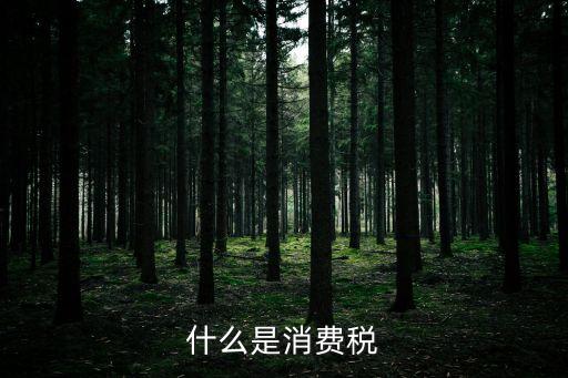 消費稅法，什么是消費稅