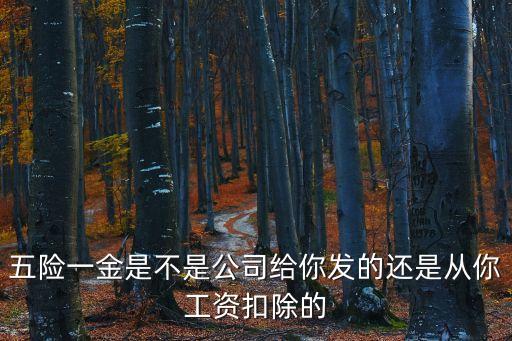 五險(xiǎn)一金是不是公司給你發(fā)的還是從你工資扣除的