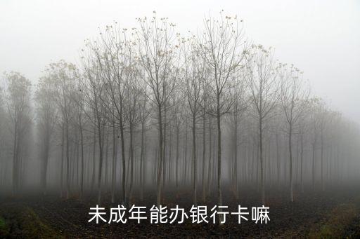 未成年能辦銀行卡嘛