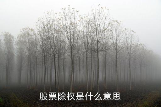 股票除權(quán)是什么意思