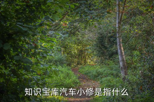 小修保養(yǎng)，知識寶庫汽車小修是指什么