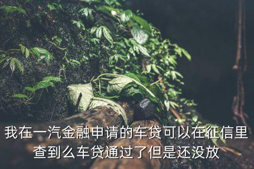 一汽金融車貸查詢，我在一汽金融申請(qǐng)的車貸可以在征信里查到么車貸通過了但是還沒放