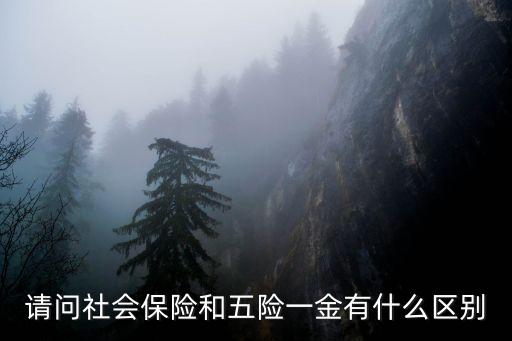 請(qǐng)問社會(huì)保險(xiǎn)和五險(xiǎn)一金有什么區(qū)別