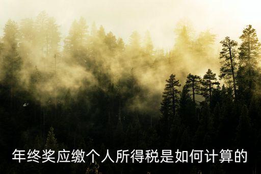 年終獎應(yīng)繳個人所得稅是如何計算的