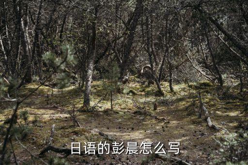 彭晨，用彭晨二字作首藏頭詩