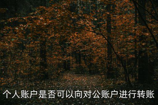 個人賬戶是否可以向?qū)~戶進行轉(zhuǎn)賬