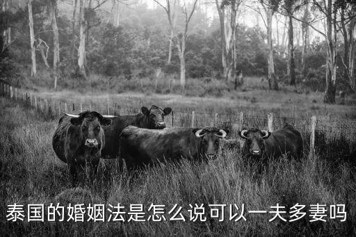 泰國(guó)婚姻制度，泰國(guó)法律婚姻制度