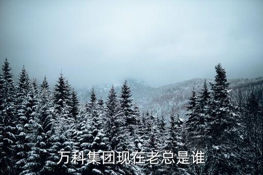 萬科的老板是誰，萬科老總是誰