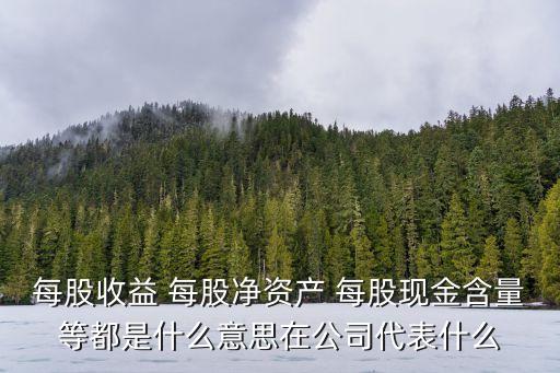 每股收益 每股凈資產(chǎn) 每股現(xiàn)金含量等都是什么意思在公司代表什么