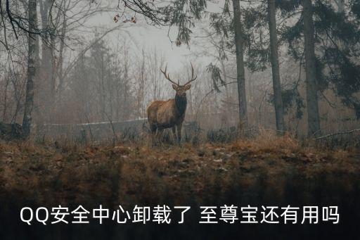 qq至尊寶，QQ綁定了至尊寶是不是不能解綁也不能改身份證還不能查看身份證