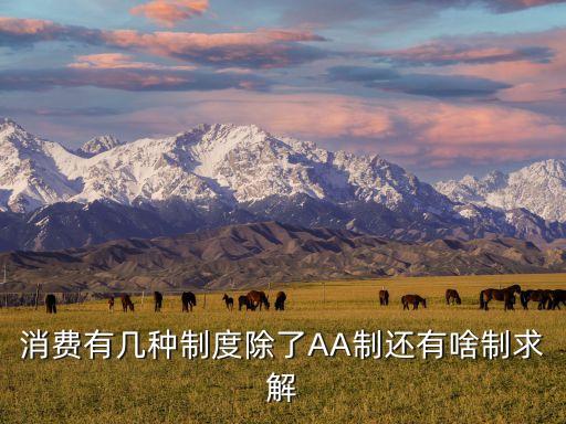 消費(fèi)有幾種制度除了AA制還有啥制求解