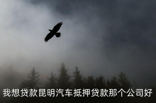 我想貸款昆明汽車抵押貸款那個公司好