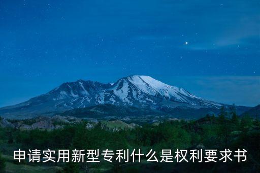 申請(qǐng)實(shí)用新型專利什么是權(quán)利要求書
