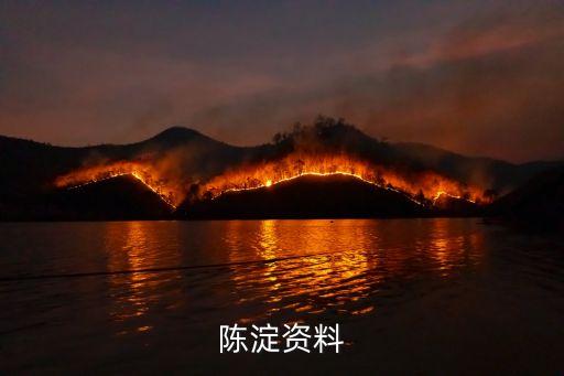 陳淀資料