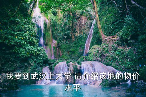 我要到武漢上大學 請介紹該地的物價水平